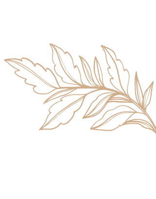 Dekoracja strony - rysunek rośliny