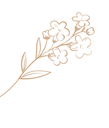 Dekoracja strony - rysunek rośliny