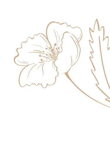 Dekoracja strony - rysunek rośliny