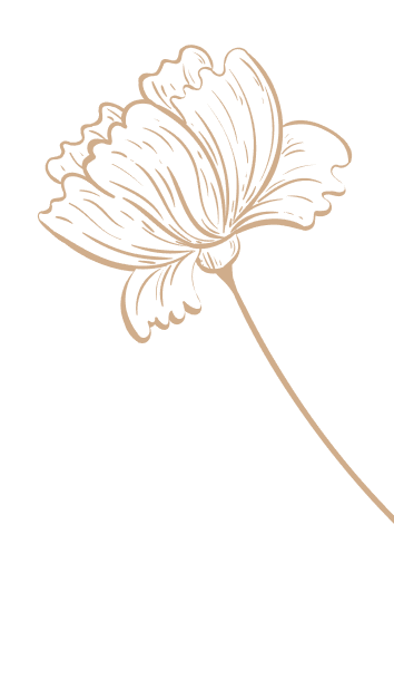 Dekoracja strony - rysunek rośliny